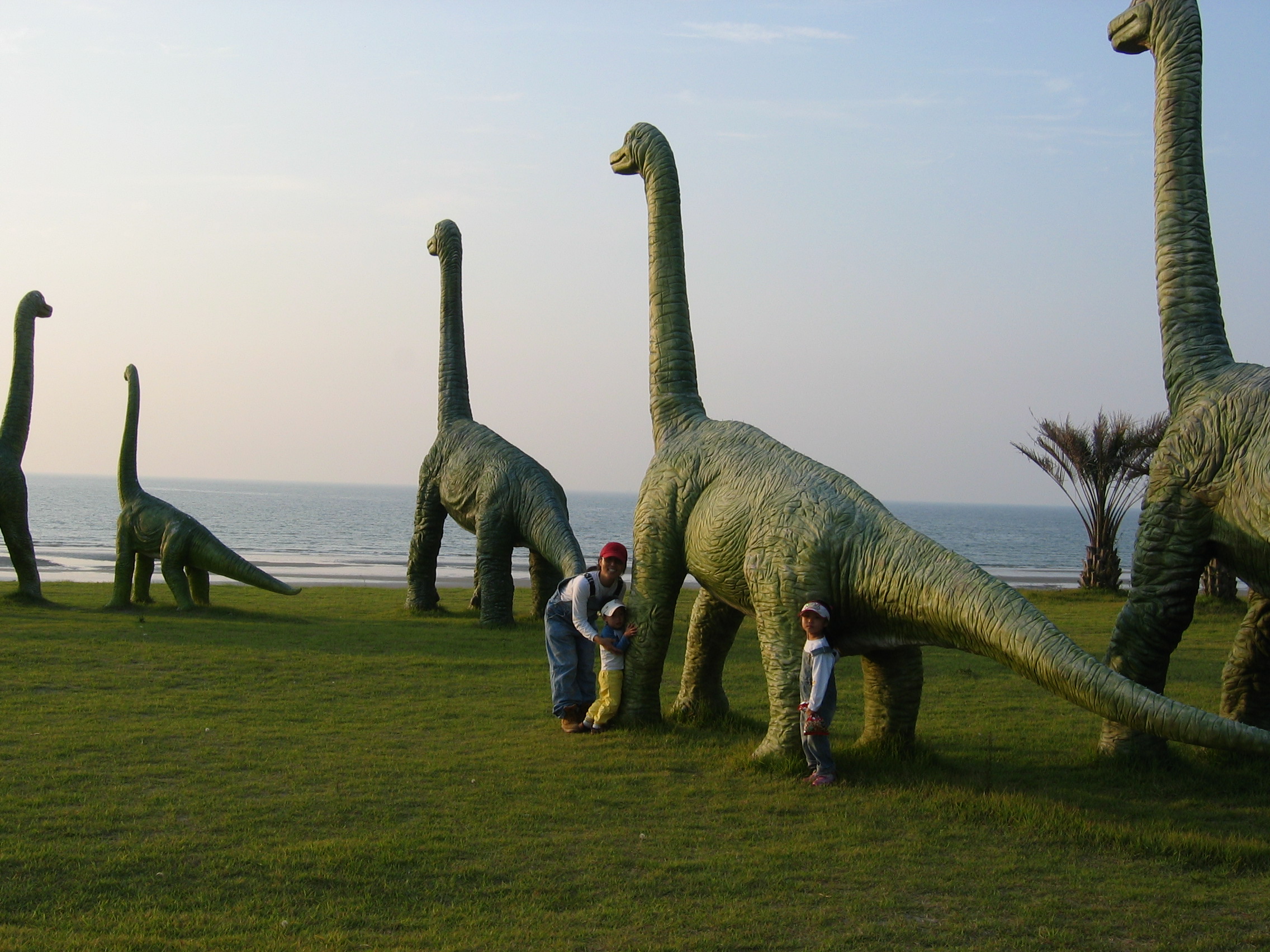 2009.09.17.신두사구 012.jpg
