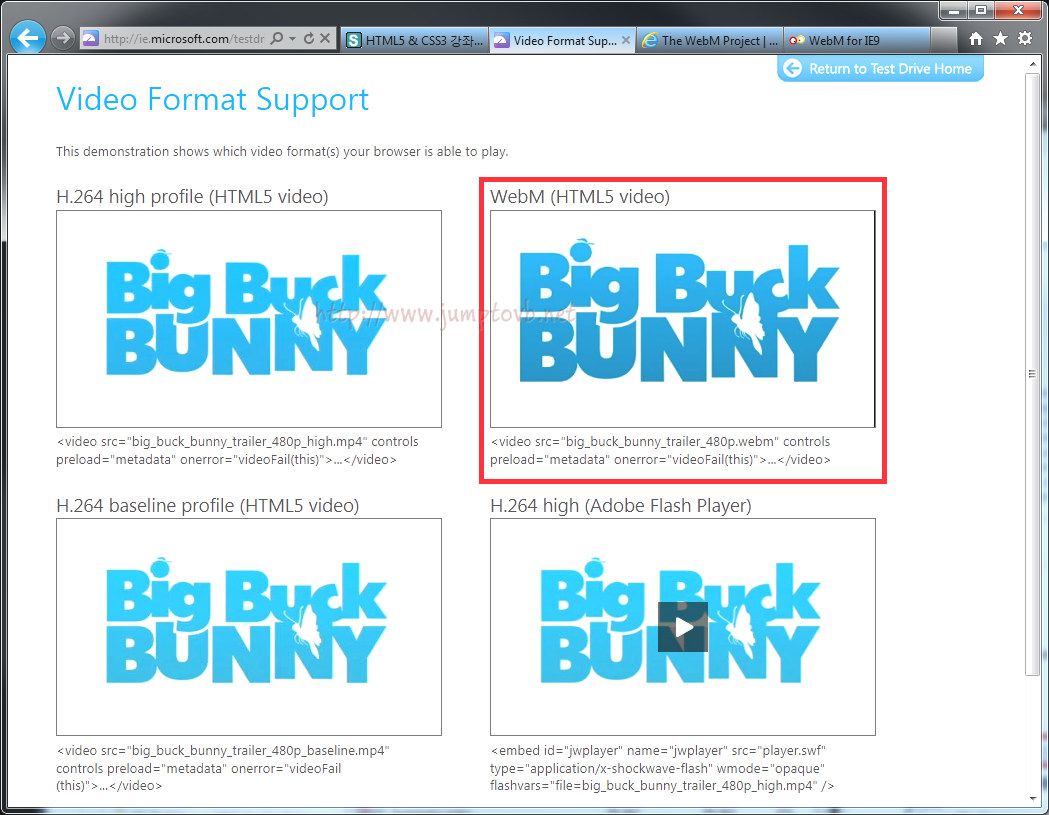 webM_06.jpg