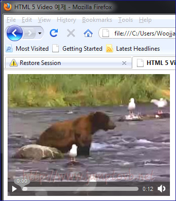 Video_Control_FireFox_01.jpg