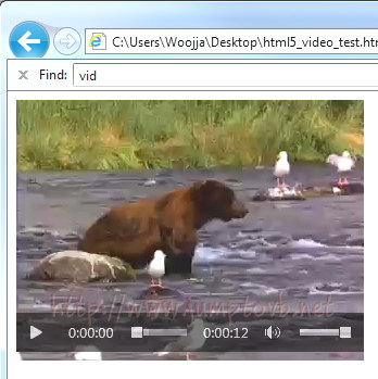 Video_Control_IE_01.jpg