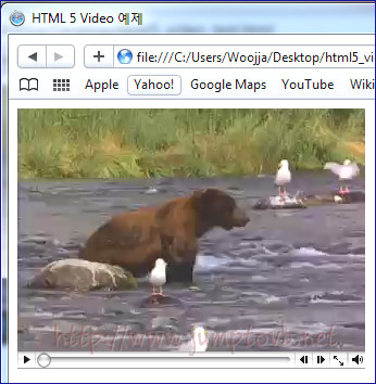 Video_Control_Safari_01.jpg