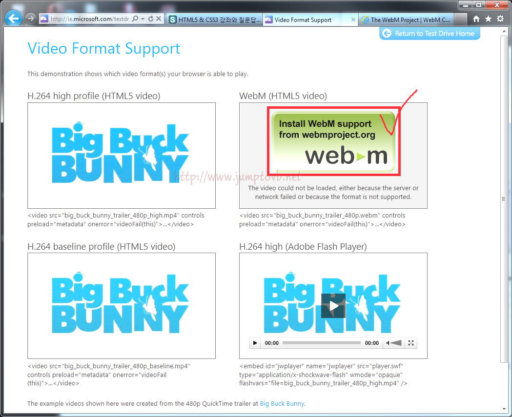 webM_02.jpg