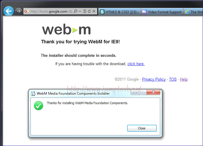 webM_05.jpg