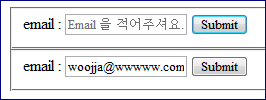 input_placeholder_01.PNG